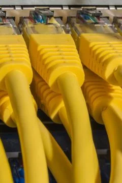 Network cables connected to switch Stock Photos