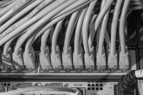 Network cables connected to switch Stock Photos