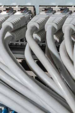 Network cables connected to switch Foto stock