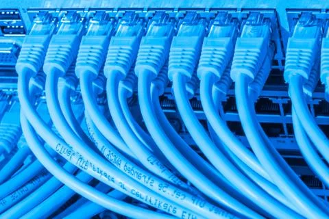 Network cables connected to switch Stock Photos