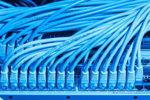 Network cables connected to switch Stock Photos