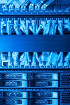 Network cables connected to switch Foto stock