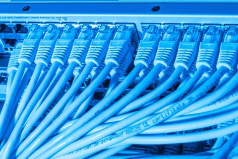 Network cables connected to switch Stock Photos