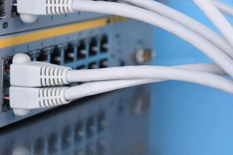 Network cables connected to switch 스톡 사진