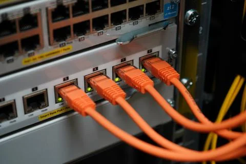 Network cables going in to a network switch Stock Photos