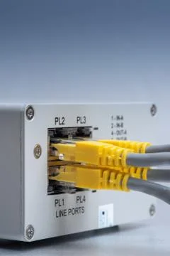 Network cables patch cord connected to switch in datacenter Stock-Fotos