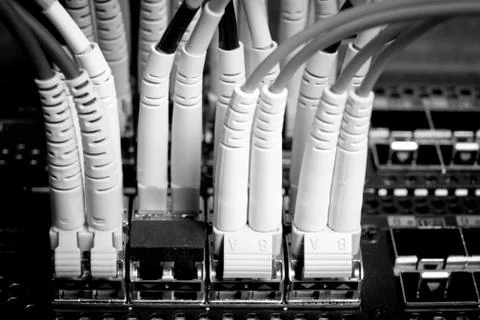 Network cables Stock Photos