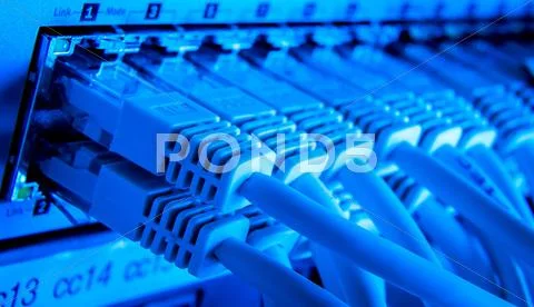 Network cables Stock Photos