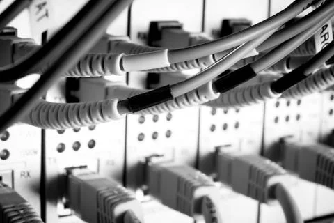 Network cables Stock Photos