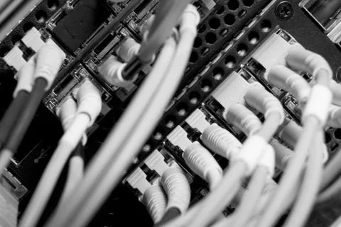 Network cables Stock Photos