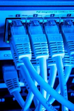 Network cables Stock Photos