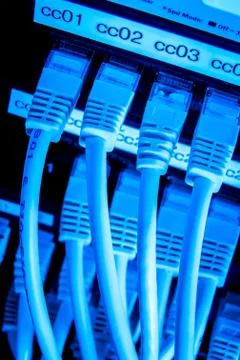 Network cables Stock Photos