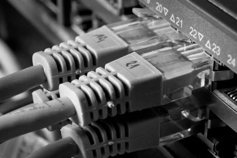 Network cables Stock Photos