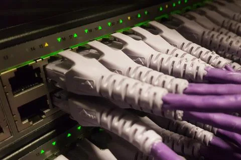 Network cables plugged in to a switch 스톡 사진