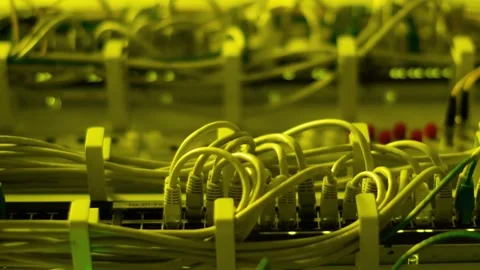 Network cables switch with green blinking lights at data center close up mo.. Stock Footage 339629112
