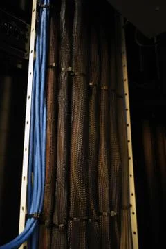 Network cables in a trunk Stock Photos