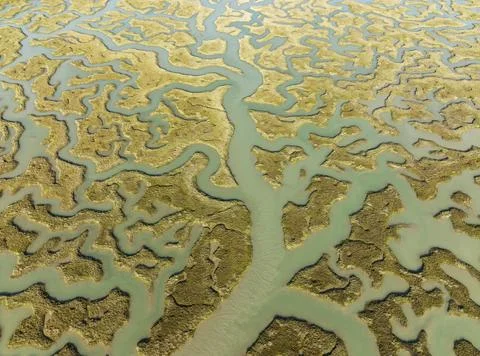 Network of channels and streams at low tide in the marshland of the Bahia de Stock Photos