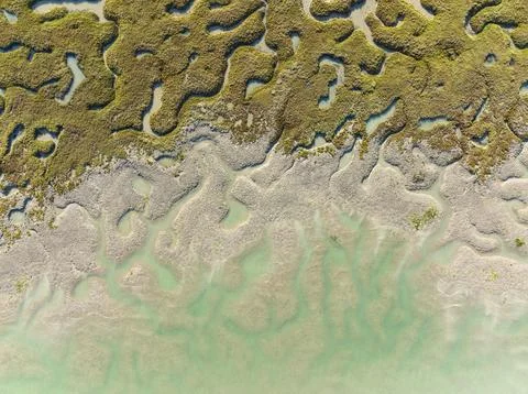 Network of channels and streams at low tide in the marshland of the Bahia de Stock Photos