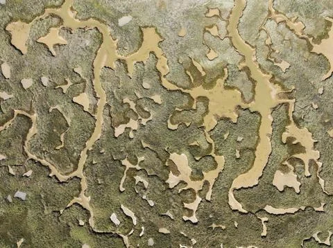 Network of channels and streams at low tide. In the marshland of the Piedras Stock Photos