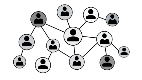 Network of Connected User Icons Animation Stock Footage 316490697