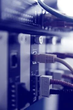 Network connection in blue tone. selective focus. Stock Photos