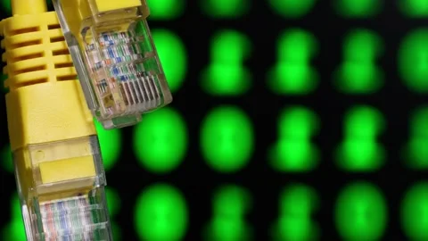 Network connection concept with ethernet cable and green digital displ Stock Footage 336965712