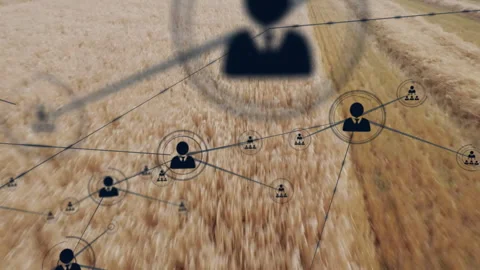 Network of connections and data processing animation over wheat field 動画素材 304761046