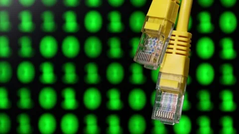 Network connectivity concept with ethernet cables and binary code Stock Footage 337536769