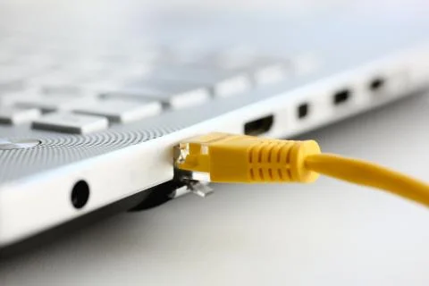 The network connector is inserted into the Foto stock