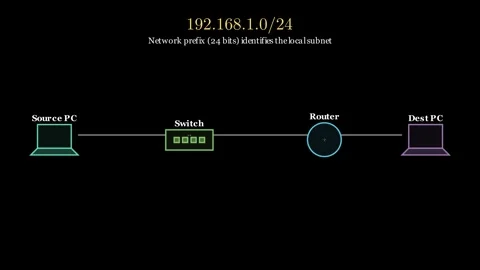 Network Data Flow Stock Footage 341079018