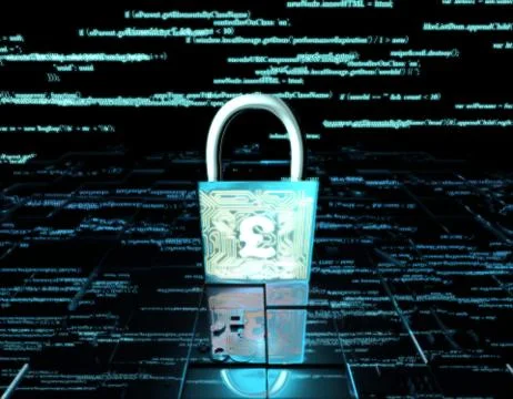 Network data transmission and lock, pound, security protection Illustrazione stock