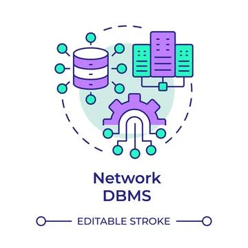 Network dbms multi color concept icon Stock Illustration