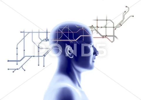 Network diagram and head Stock Illustration