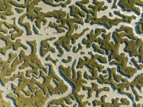 Network of dry channels and streams at low tide in the marshland of the Bahia Stock Photos