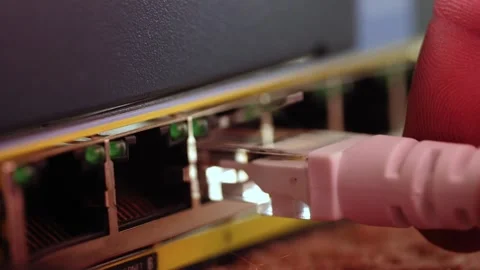Network engineer plugs cable into network device Stock Footage 288344894