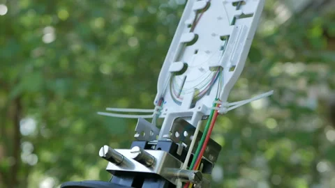 A network engineer in a server room with an optical cable. Stock Footage 89679363