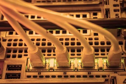 Network equipment is in the server room. Four internet twisted pair wires are Stock Photos