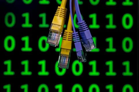 Network ethernet cables with binary code background Photos