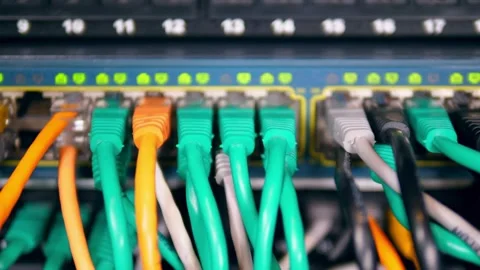 Network Ethernet Cables Connected to Server Switch Stock-Footage 335407632