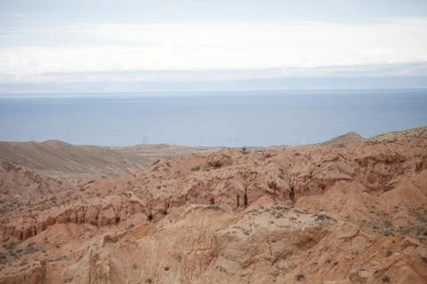 Network Ethernet Cables. Network switch. Stock Photos