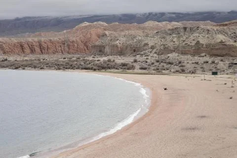 Network Ethernet Cables. Network switch. Stock Photos