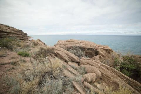Network Ethernet Cables. Network switch. Stock Photos