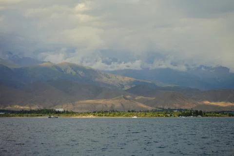 Network Ethernet Cables. Network switch. Stock Photos