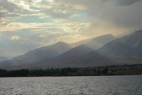 Network Ethernet Cables. Network switch. Stock Photos