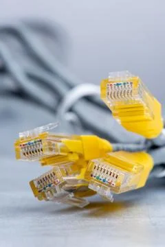 Network ethernet network cables 스톡 사진