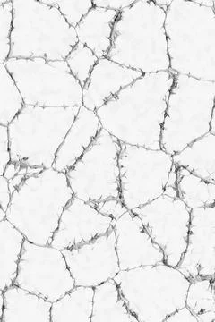Network of fine cracks on white surface representing dry earth or broken Stock Illustration