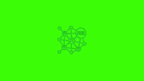 Network Hub Connection Line Art Animation on Green Screen Stock Footage 333546713