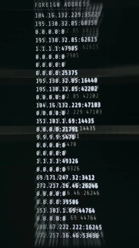 Network interface displaying IP addresses and port numbers Stock Footage 335881146