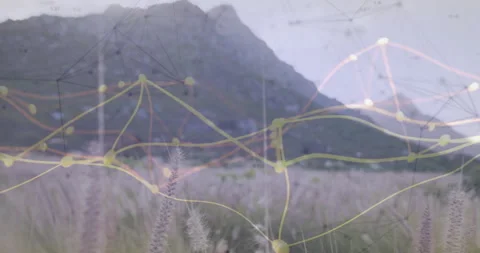Network map fading in over mountain foothill, pulsing nodes morphing links to Stock Footage 310969860