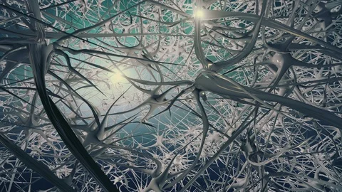 Network of Neurons and Synapses Stock Footage 127327742